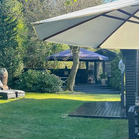 With Pool Between And Forest Vig