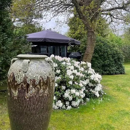 With Pool Between And Forest Vig